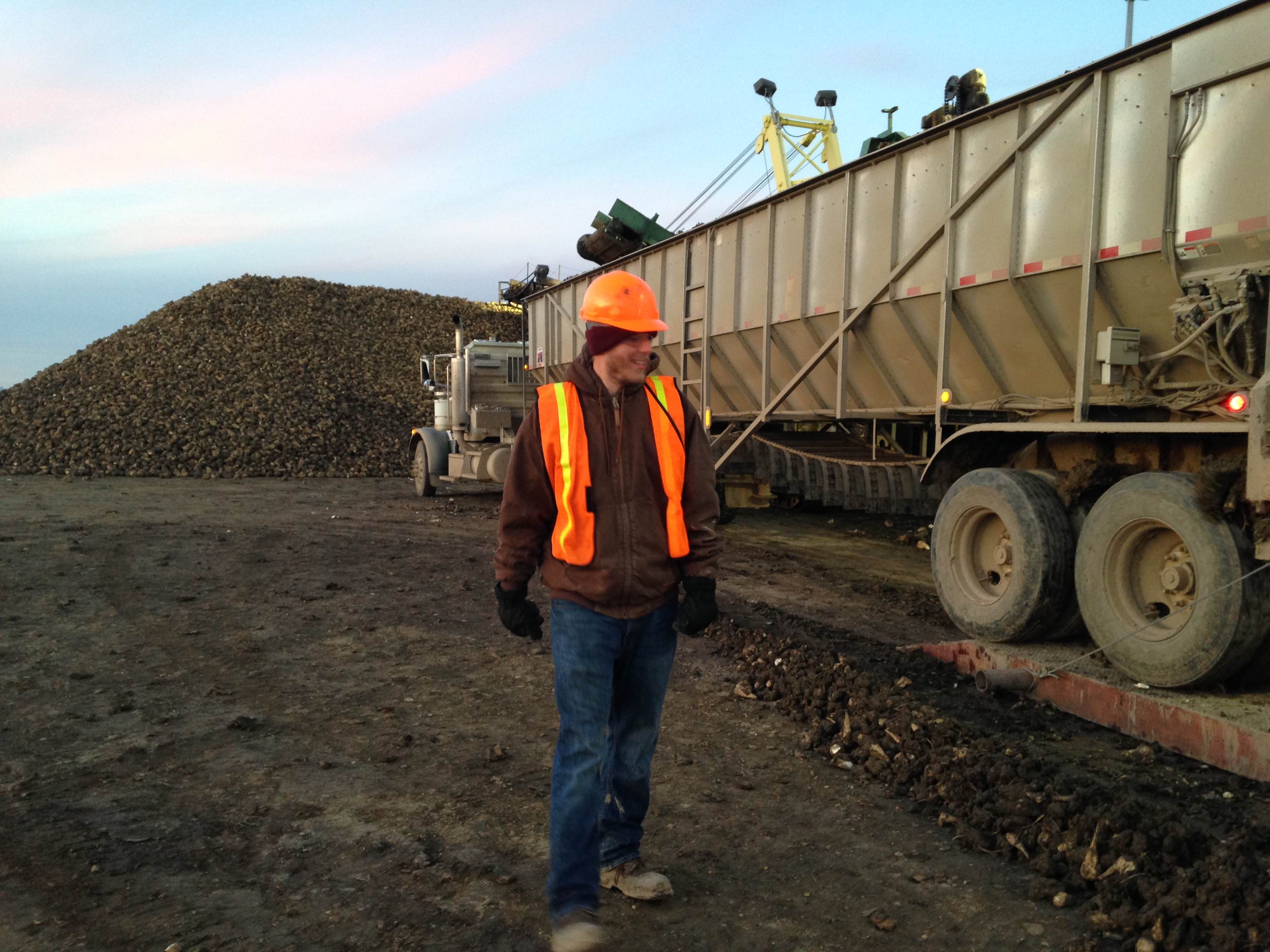 Sidney Sugar Beet Harvest